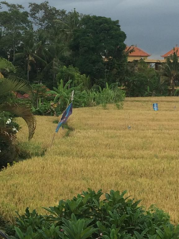Apartamento Pangkung House Ubud Exterior foto