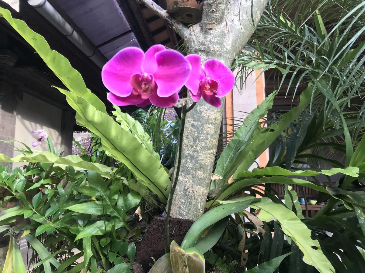 Apartamento Pangkung House Ubud Exterior foto